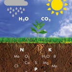 Az Agrosolution hatásmódja